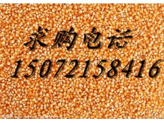 旺川求购：玉米、碎米、高粱、棉粕
