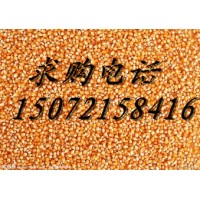 旺川求购：玉米、碎米、高粱、棉粕图片