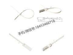 塑料封条锁头带孔图片