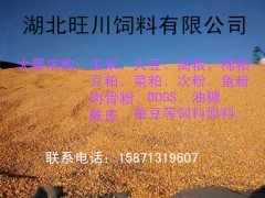 旺川求购玉米荞麦大豆棉粕图片