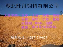 旺川求购玉米荞麦大豆棉粕