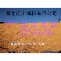 旺川求购玉米荞麦大豆棉粕图片