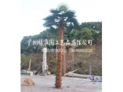 餐厅装饰仿真棕榈树/人造玻璃钢棕榈树 商业街造景专用假棕榈树图片