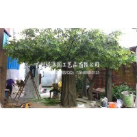 仿真榕树假树仿真榕树仿真大型榕树酒店 装饰祈福树发财树图片