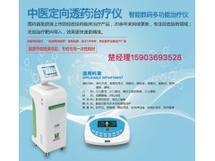 中医定向透药治疗仪BE-5000型产品介绍图片