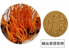 虫草多糖 30% 蛹虫草提取物 虫草菌丝体提取物  沃特莱斯