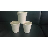 玉米秸秆生态全降解餐具及包装制品生产流水线图片