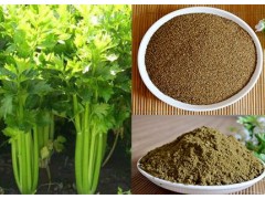 芹菜籽提取物10:1 芹菜籽粉 一公斤起订 现货包邮图片