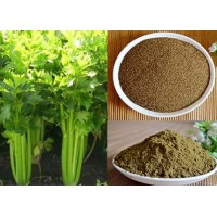 芹菜籽提取物10:1 芹菜籽粉 一公斤起订 现货包邮图片
