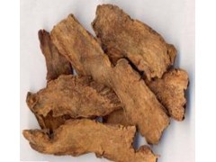 松果菊苷20% 肉苁蓉提取物  松果菊甙 多规格供应图片