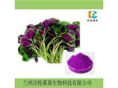 苋菜膳食纤维 苋菜速溶粉  现货包邮