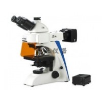 BK-FL荧光显微镜图片