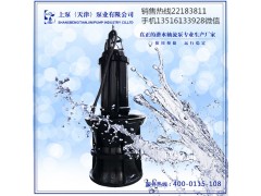 河南平顶山无阻塞潜水轴流泵图片