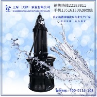 河南平顶山无阻塞潜水轴流泵图片