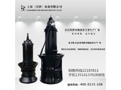 河南洛阳带保护装置的潜水轴流泵图片