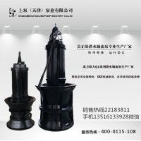 河南洛阳带保护装置的潜水轴流泵图片