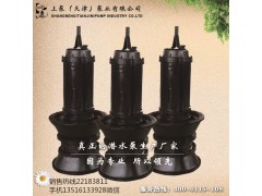 广东汕头叶片可调节式潜水轴流泵图片