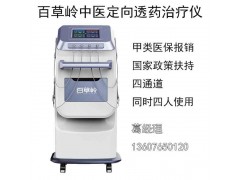 中医定向透药治疗仪图片