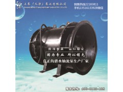 河南商丘大型排涝全贯流泵