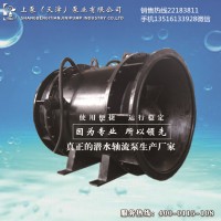 河南商丘大型排涝全贯流泵