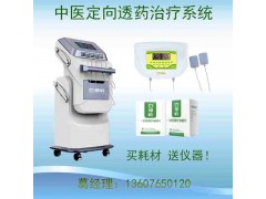 百草岭中药离子导入仪ZP-A5双通道设备
