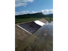 伸缩自如河道护坡护岸蜂巢约束系统河道边坡加固蜂巢土工格室图片