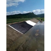 伸缩自如河道护坡护岸蜂巢约束系统河道边坡加固蜂巢土工格室图片