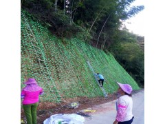山体边坡绿化植物攀爬网爬藤网厂家