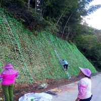 山体边坡绿化植物攀爬网爬藤网厂家图片