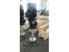 恩达泵业QLY60-68液下泵图片