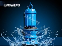江苏泰州无阻塞潜水轴流泵