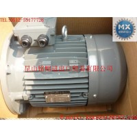 ADDA电机ADDA马达FC315M图片