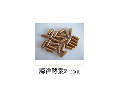 台湾佳联海洋酵素能促进细胞的再生和机体受损后细胞的修复