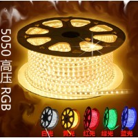 市政亮化景观亮化220v高压5050LED灯带厂家批发图片