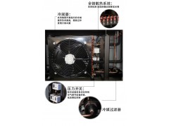 沼气冷干机 氦气冷干机 氢气冷干机 天然气冷干机