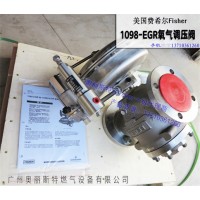 Fisher不锈钢氧气减压阀，氧气阀脱脂脱硫处理图片