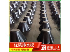 供应江苏房地产建筑排水板绿化蓄排水板图片