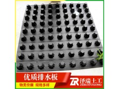 供应枣庄聚乙烯排水板绿化蓄排水板图片