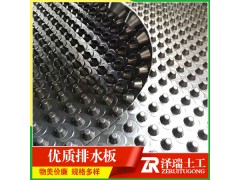 供应沧州卷材排水板城市建设排水板