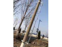电力通信行业专用杆用安全爬梯图片