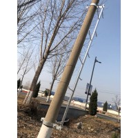 电力通信行业专用杆用安全爬梯图片