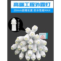 星罗之光工程款LED外露灯图片