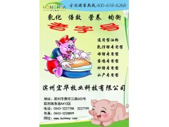 金乳能母猪专用乳化油粉