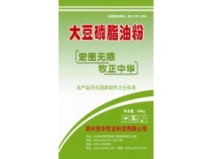 脱色型大豆磷脂油粉