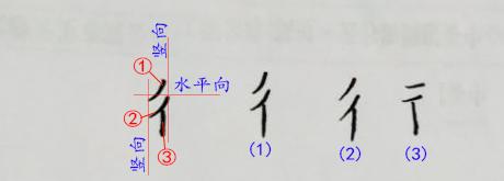 硬笔书法口在不同位置的写法（硬笔书法双人旁）(1)